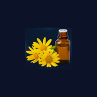 Arnica